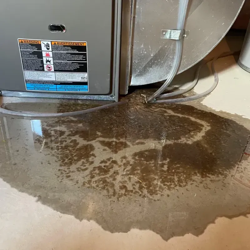 Appliance Leak Cleanup in Pittston, ME